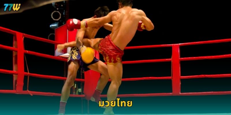 มวยไทย ศิลปะแห่งการต่อสู้ – เดิมพันอย่างชาญฉลาดที่ 77W