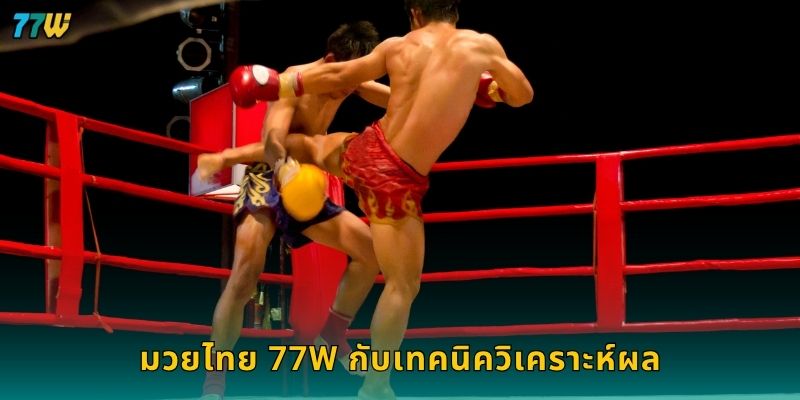 มวยไทย 77W กับเทคนิควิเคราะห์ผล